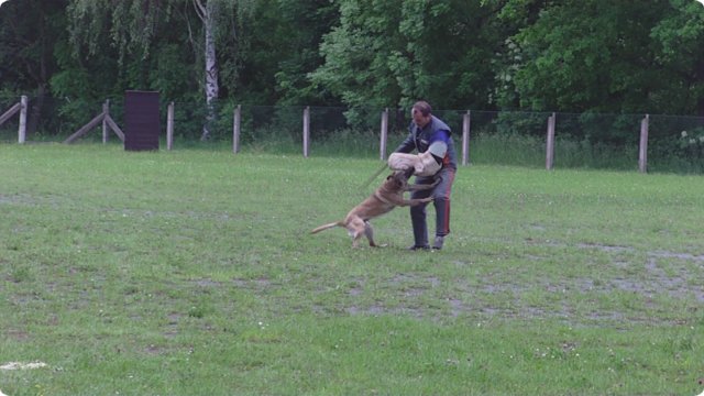 32.jpg