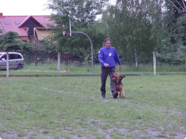 file0239.jpg