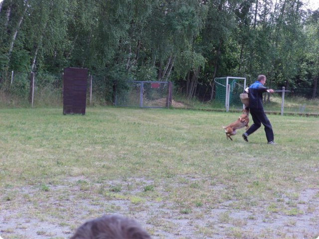 bild_172.jpg