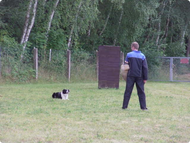 bild_176.jpg
