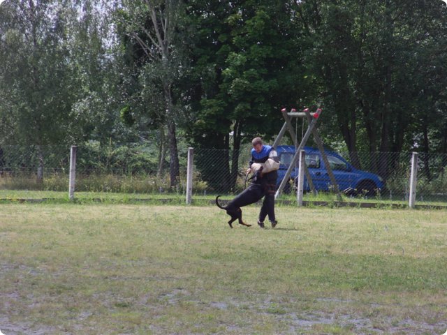 bild_189.jpg