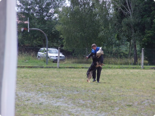bild_194.jpg