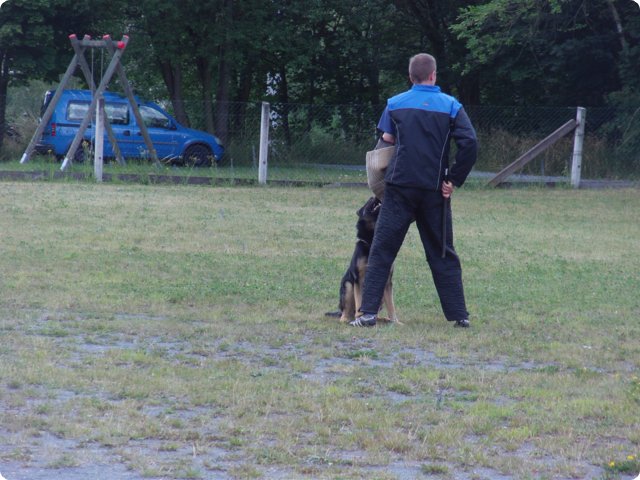 bild_198.jpg