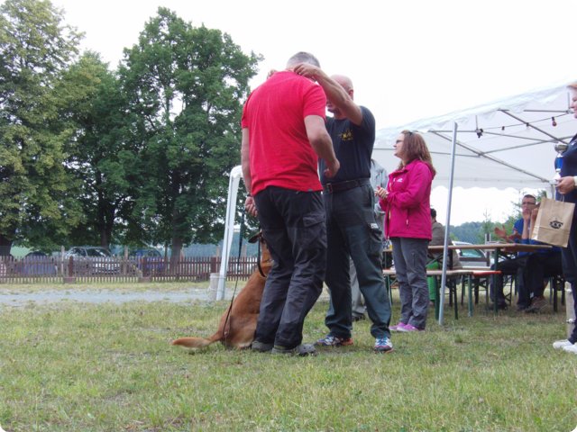 bild_261.jpg