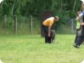 bild_030.jpg